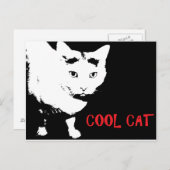COOL CAT-BRIEFKAART BRIEFKAART (Voorkant / Achterkant)