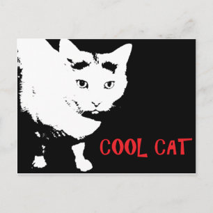 COOL CAT-BRIEFKAART BRIEFKAART