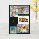 Cool Cat Card Kaart (Gele Bloem)