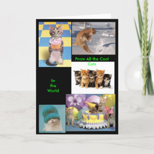Cool Cat Card Kaart