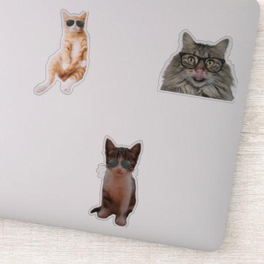 Cool Cat Memes Sticker (Detail)