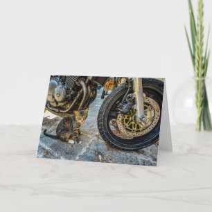 Cool cat motorfiets grappig wenskaart kaart