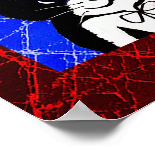 Cool Cat Print, Value Poster Paper (Matte) (Hoek)