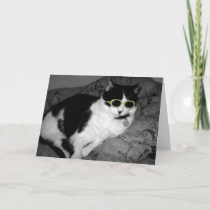 Cool Cat w Zonnebril verjaardagskaart Kaart