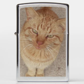 Cool Cat Zippo Lighter