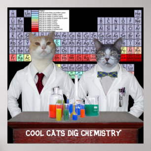 Cool Cats Dig Chemistry Poster