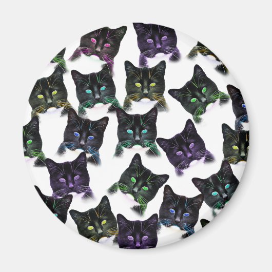 Cool Cats Magneet (Voorkant)
