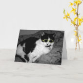Cool Chat w Lunettes de soleil carte d'anniversair (Fleur jaune)