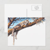 Cool cheetah briefkaart (Voorkant / Achterkant)
