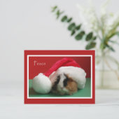 Cool Christmas Guinea Pig Post Kaart (Staand voorkant)