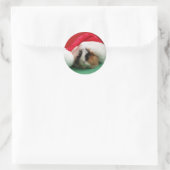 Cool Christmas Guinee Pig Stickers (Tas)