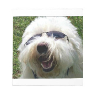 Cool Coton de Tulear Notitieblok