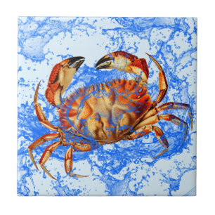 Cool Crab Tegeltje
