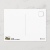 Cool Deense trol-postkaart! Briefkaart (Achterkant)