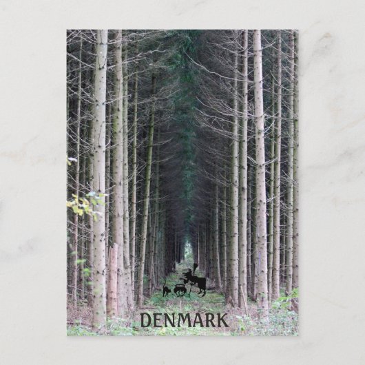 Cool Denmark Heks Briefkaart! Briefkaart (Voorkant)
