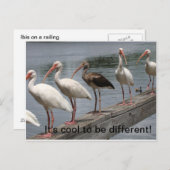 Cool d'être une carte postale différente (Devant / Derrière)