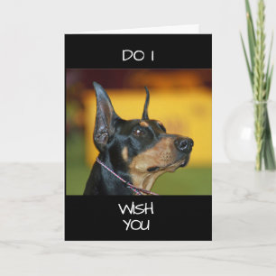 **COOL DOBERMAN** zegt HAPPY "40th" Kaart