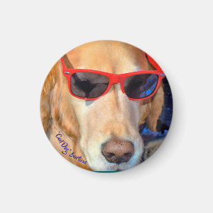 "Cool Dog" Barticus Magnet Magneet