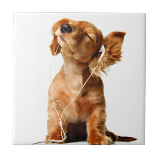 Cool Dog Tegeltje