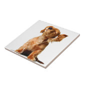 Cool Dog Tegeltje (Zijkant)