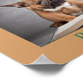 Cool Dogs Read Literacy Poster (Hoek)