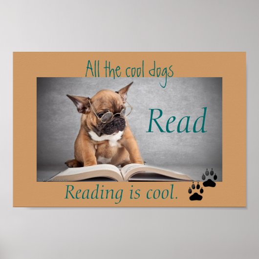Cool Dogs Read Literacy Poster (Voorkant)
