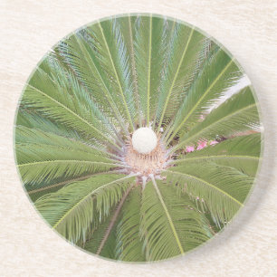 Cool Green Palm Zandsteen Onderzetter