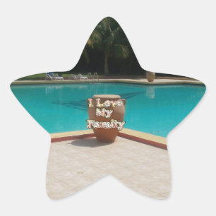 Cool Hakuna Matata Pool Side I love My Family.jpg Ster Sticker