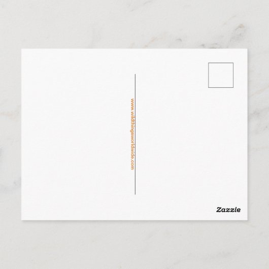 Cool hand getekend - GORILLA - Aap - Primaat - Briefkaart (Achterkant)