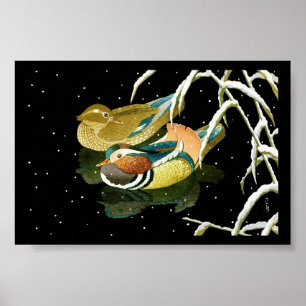 Cool japanse mandarina duck zwarte vijver sneeuw poster
