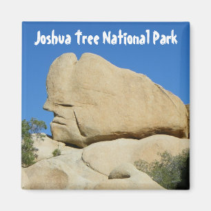 Cool Joshua Tree Park Magnet !