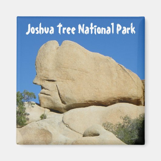 Cool Joshua Tree Park Magnet ! (Devant)