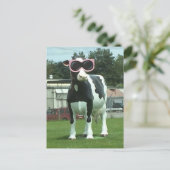 Cool koe 1 briefkaart (Staand voorkant)