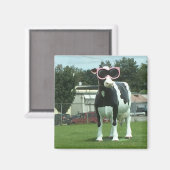 Cool koe 1 magneet (Voorkant / Achterkant)