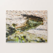 Cool Leopard Frog Legpuzzel (Horizontaal)