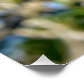 Cool Monkey Foto Perfect Poster (Hoek)