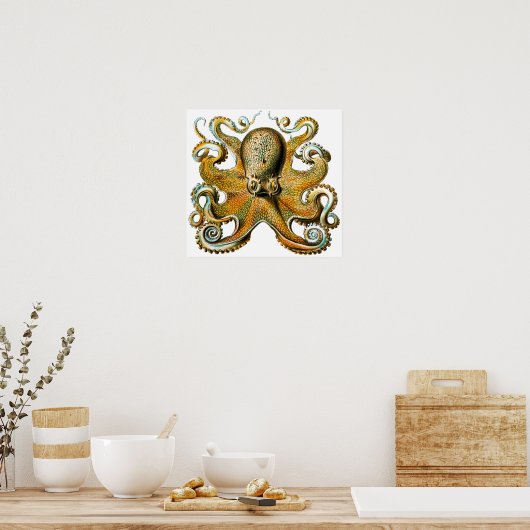 Cool  Octopus Poster (Keuken)