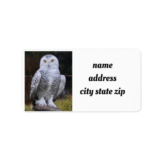 **COOL OWL* ADRESETIKETTEN ETIKET (Voorkant)