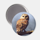 Cool Owl Magnet (Recto/Verso)