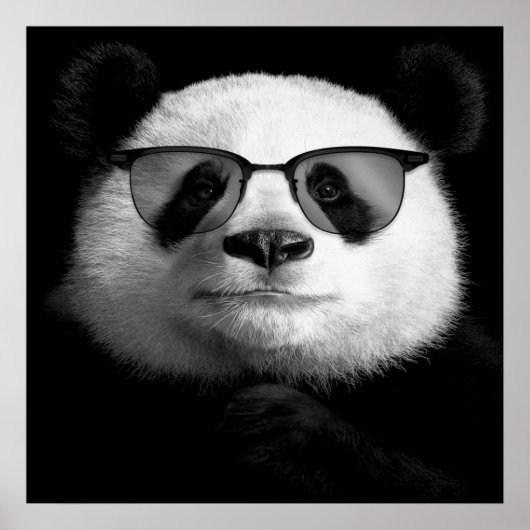 Cool Panda Poster | Cute Panda Lover (Voorkant)