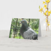 Cool Pigeon Birthday Kaart (Gele Bloem)