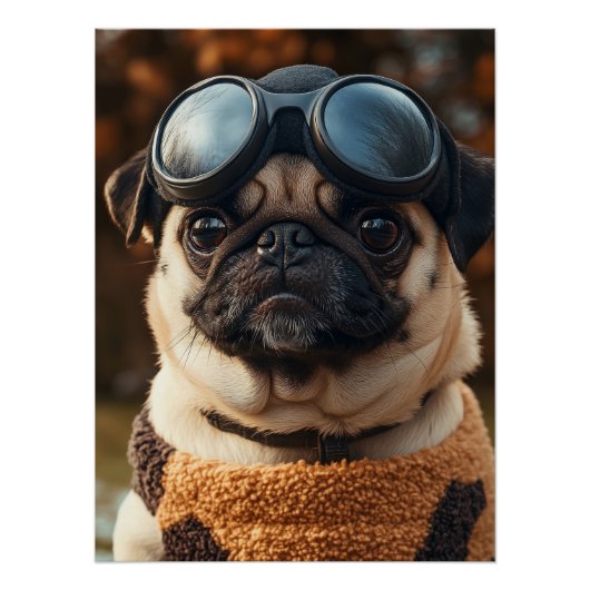 Cool Pug Dog with Aviator Goggles & Cozy Sweater Perfect Poster (Voorkant)