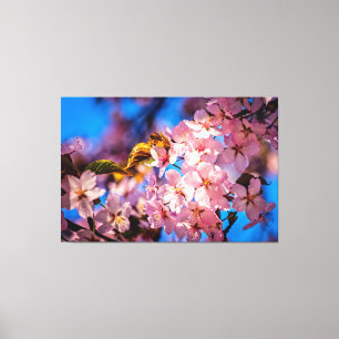 Cool Sakura Garland Canvas Afdruk