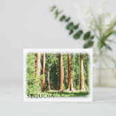 Cool Sequoia Briefkaart! Briefkaart (Staand voorkant)