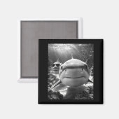 Cool Shark Animal Selfie  Magneet (Voorkant / Achterkant)
