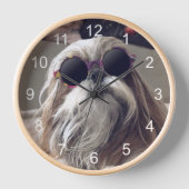 Cool Shih Tzu lange haar zonnebril Foto (Voorkant)