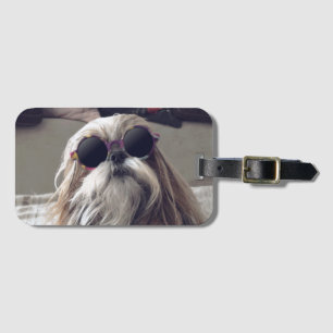 Cool Shih Tzu lange haar  zonnebril Foto Bagagelabel
