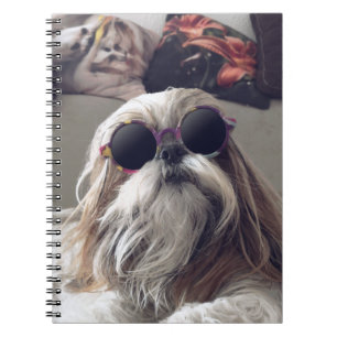 Cool Shih Tzu lange haar  zonnebril Foto Notitieboek