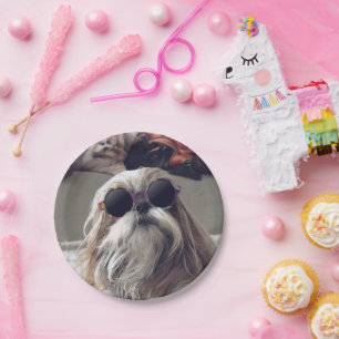 Cool Shih Tzu lange haar  zonnebril Foto Papieren Bordje