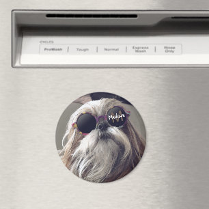 Cool Shih Tzu retro bril Foto Monogram Magneet